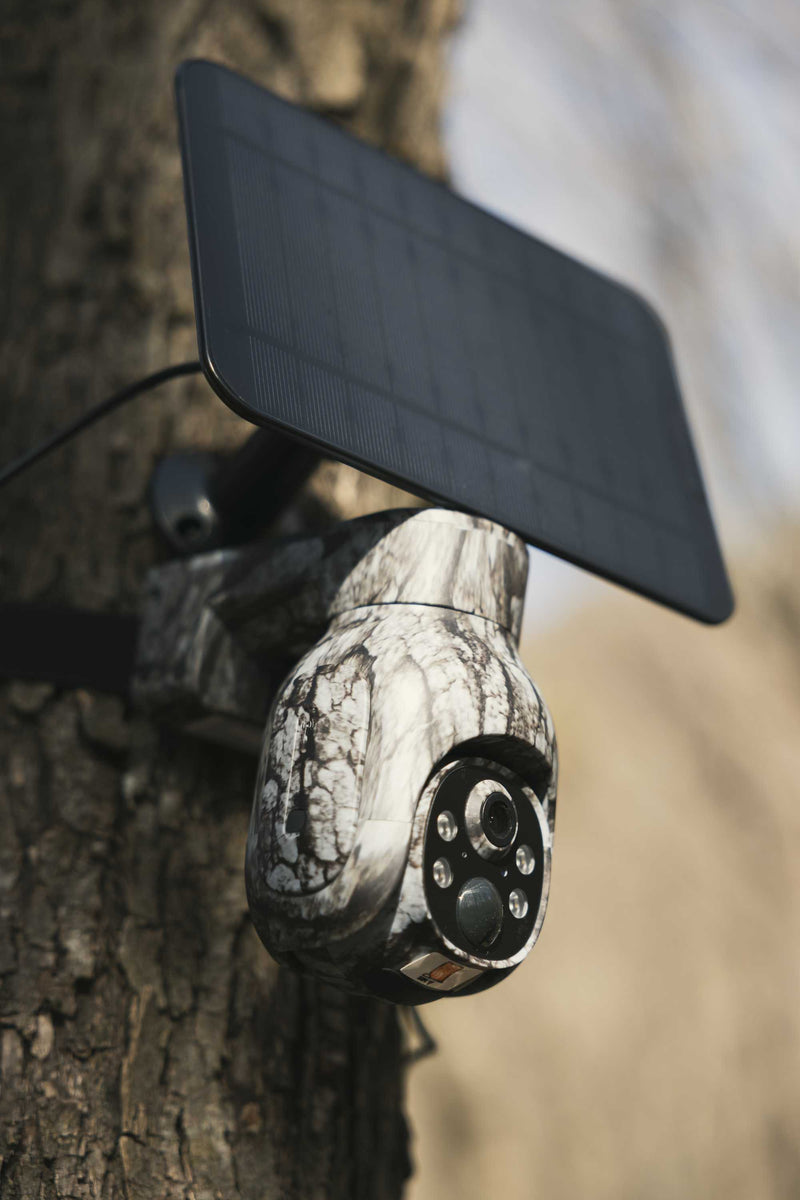 Campark TC17 4G cellular trail camera with solar panel mounted on tree for remote wildlife monitoring outdoors.
