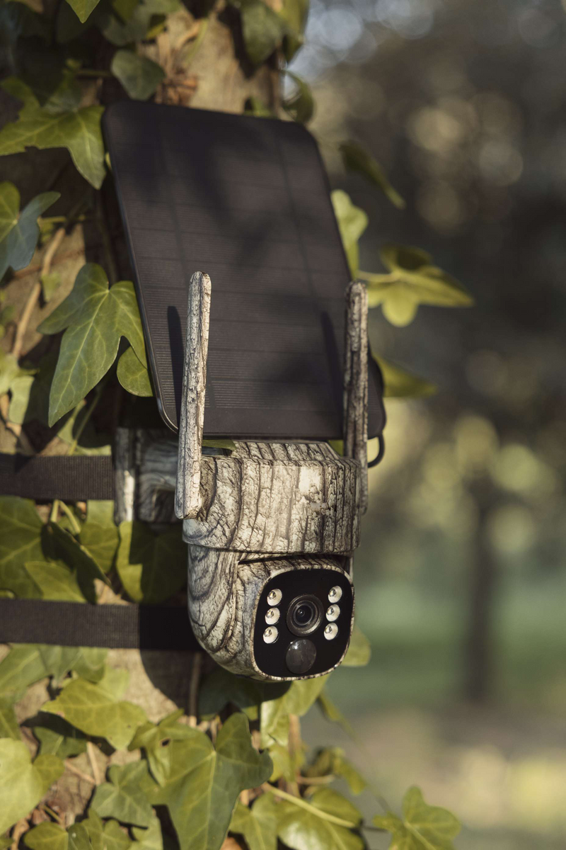 Campark TC32 4G cellular trail camera mounted on tree with solar panel