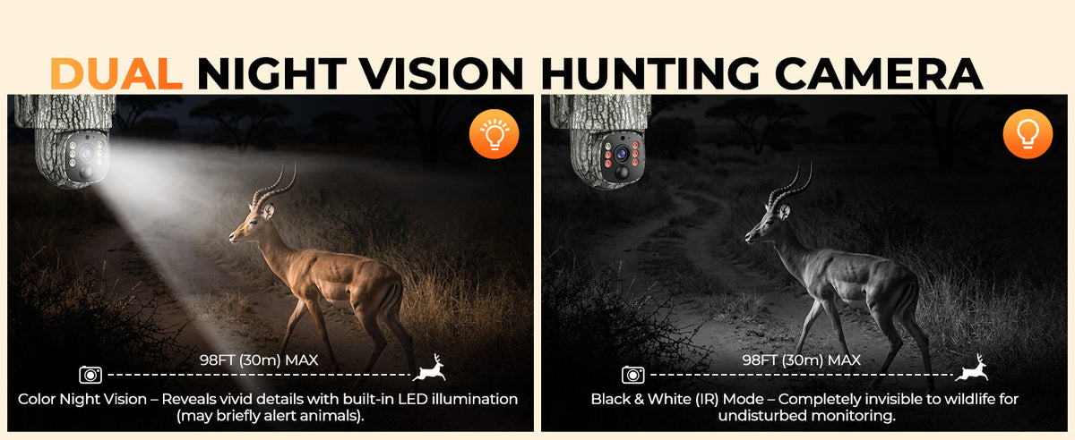 Dual Lighting Modes for Day & Night